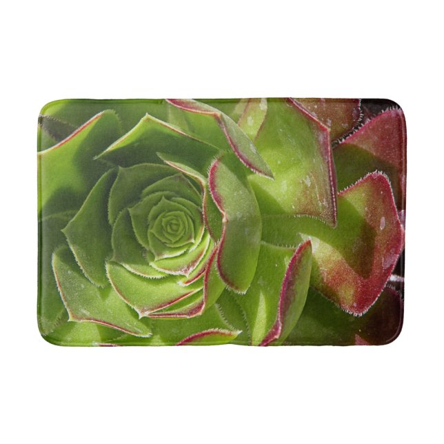 Tapis De Bain Vert (Devant)