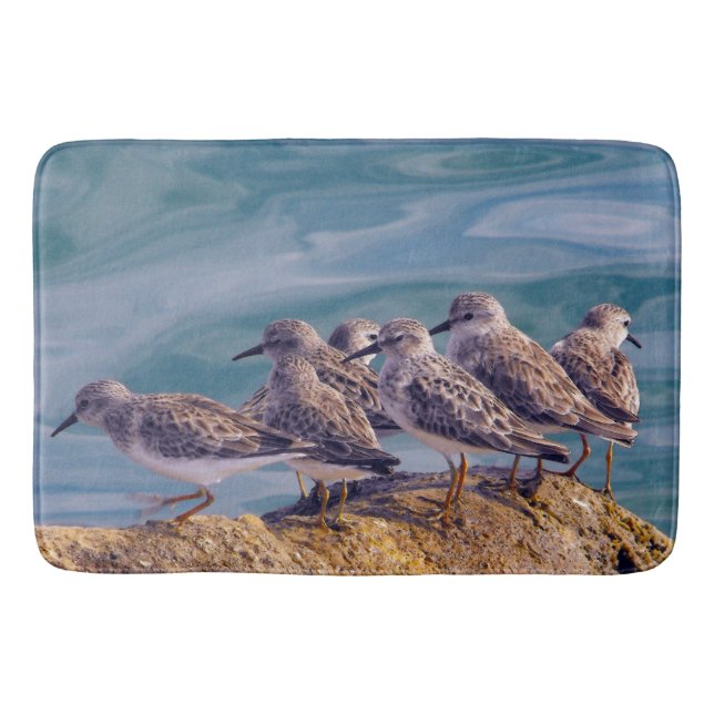 Tapis De Bain Young Ruddy Turnstones (Devant)