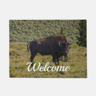 Tapis de Bienvenue Regardez Qui