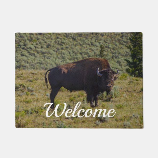 Tapis de Bienvenue Regardez Qui (Devant)