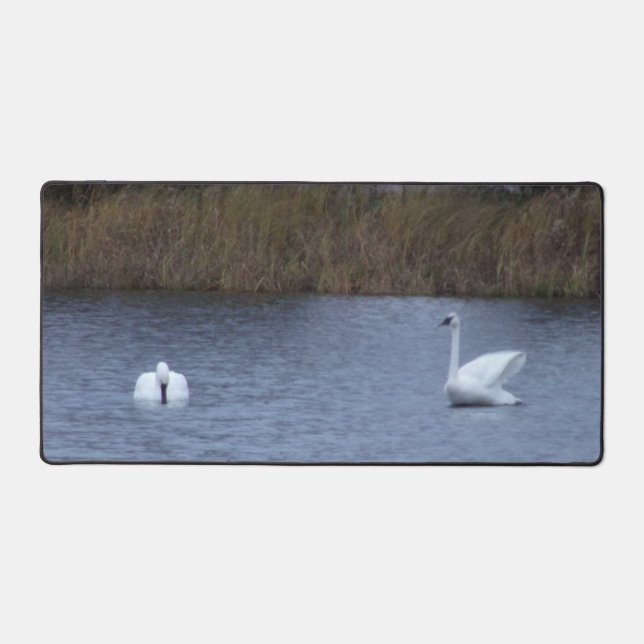 Tapis de bureau des cygnes blancs (Recto)