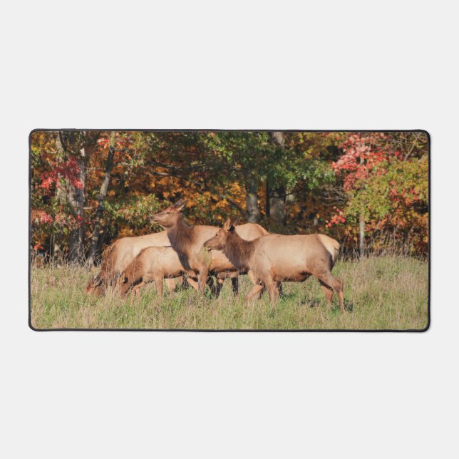 Tapis de bureau Elk (Recto)