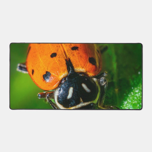 Tapis de bureau Macro Coccinelle | Art botanique c (Recto)