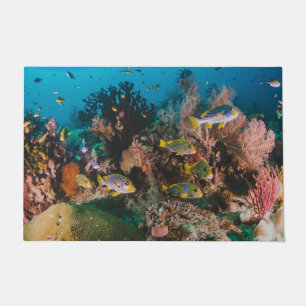 Tapis de porte Corail Reef
