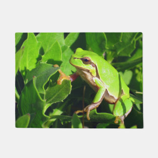 Tapis de porte de grenouille