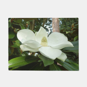 Tapis de porte grandiflora de magnolia