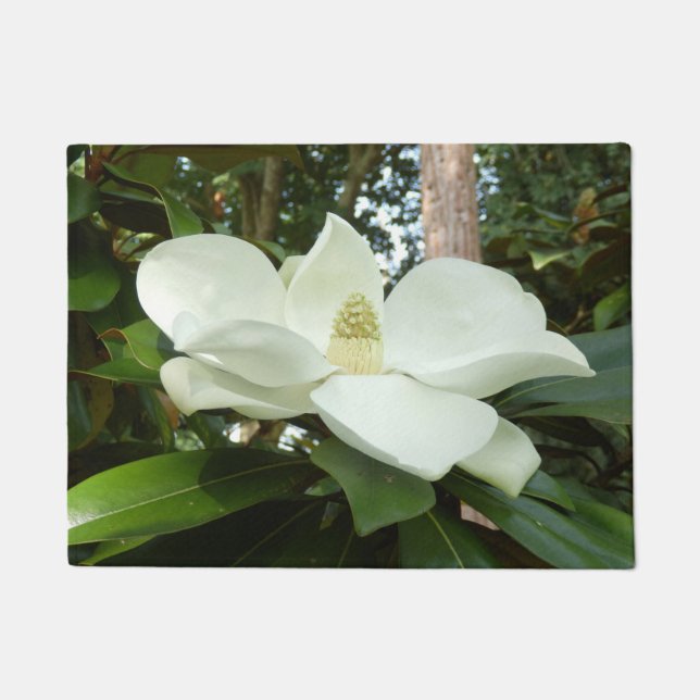 Tapis de porte grandiflora de magnolia (Devant)