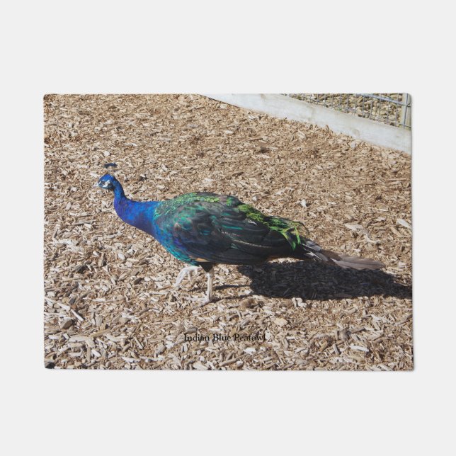 Tapis de porte Paon bleu indien (Devant)
