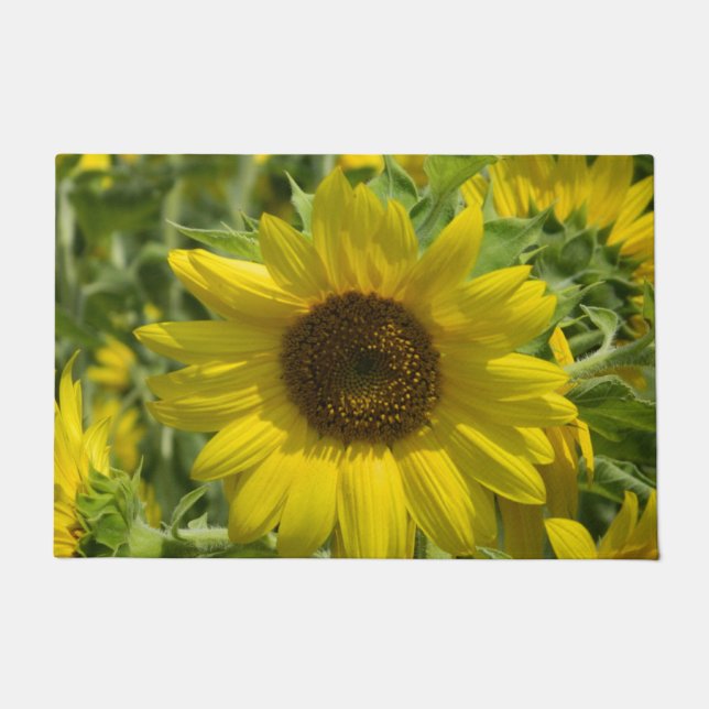 Tapis de porte Tournesol d'été (Devant)