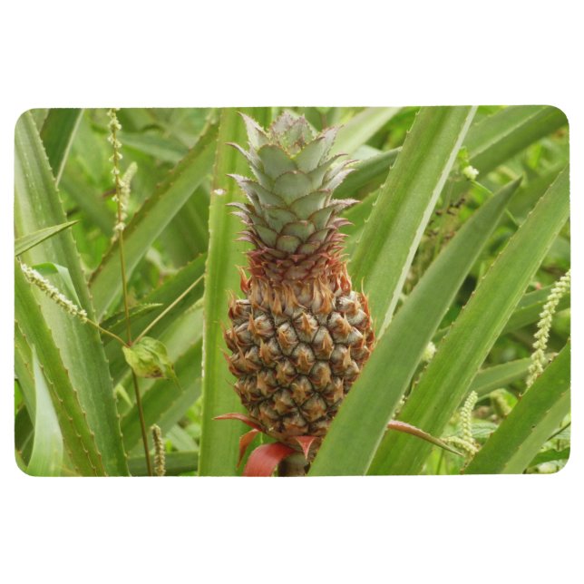Tapis De Sol Ananas sauvage Fruit tropical dans la nature (Devant)