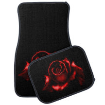 Beau rose rouge