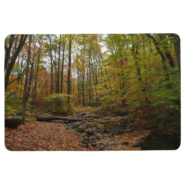 Tapis De Sol Fall Creek dans le parc national Laurel Hill State (Devant)