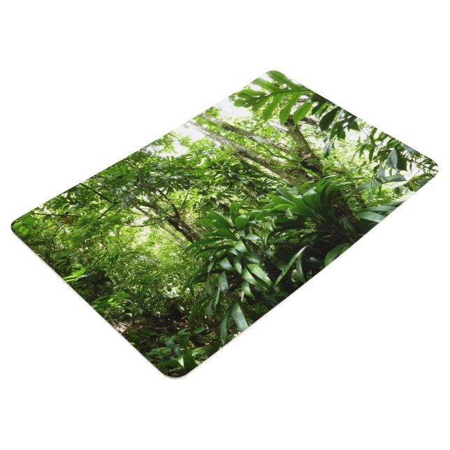 Tapis De Sol Forêt de pluie dominicaine I Nature verte tropical (3/4/2016 12:00:00 AM)