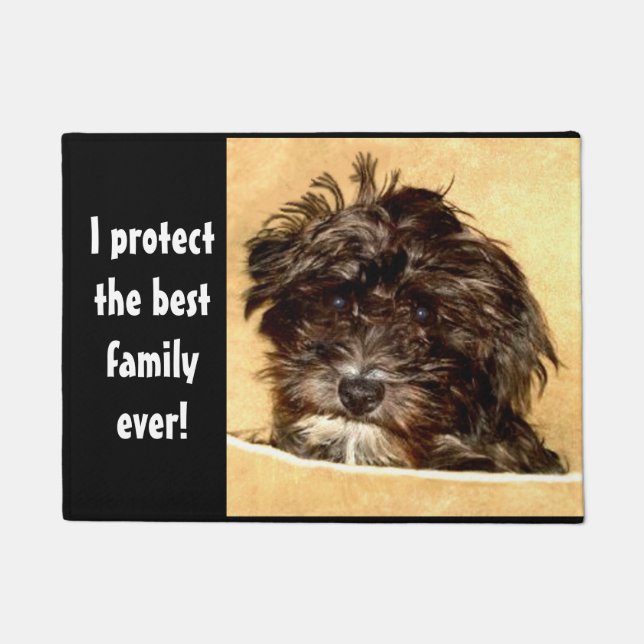 Tapis de sol Schnoodle (Devant)