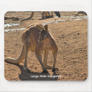 Tapis de souris