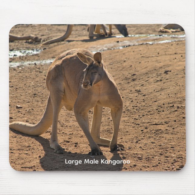 Tapis de souris (Devant)