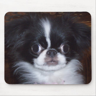 Tapis de souris