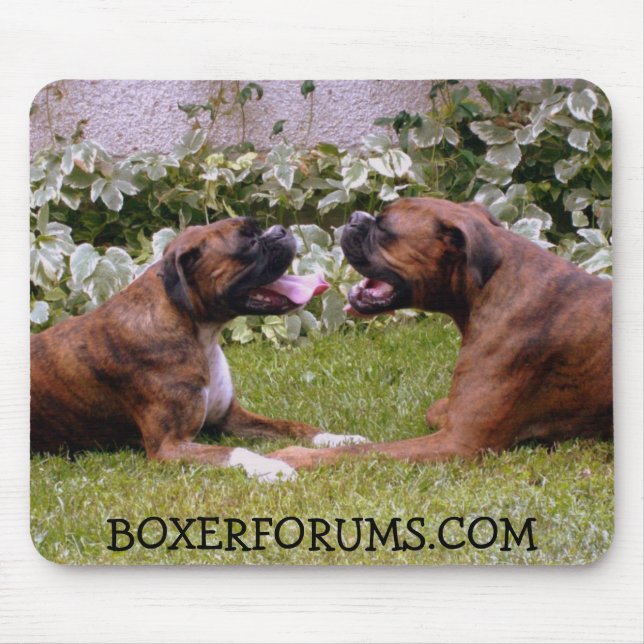 Tapis de souris (Devant)