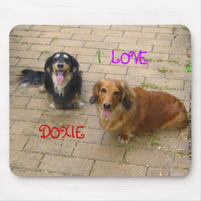 TAPIS DE SOURIS な か よ し ダ ク フ ン  ♪ (Devant)