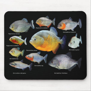 TAPIS DE SOURIS ニ ア の 品