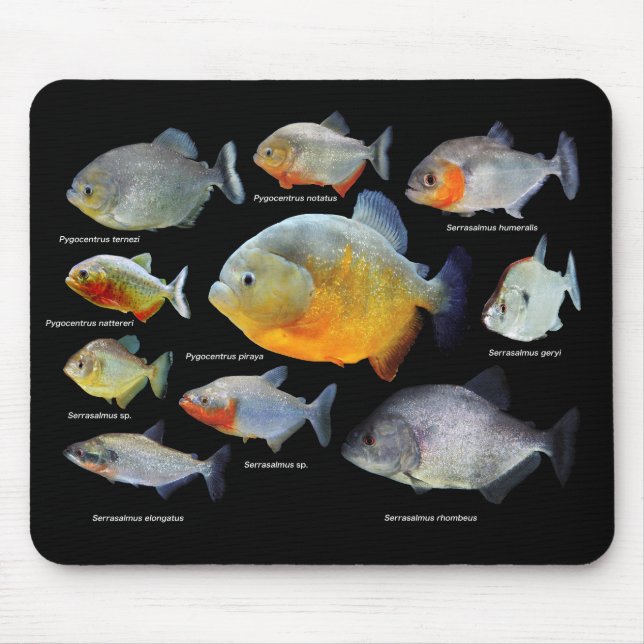 TAPIS DE SOURIS ニ ア の 品 (Devant)