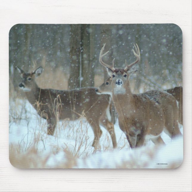 TAPIS DE SOURIS 011110-57-AMP (Devant)