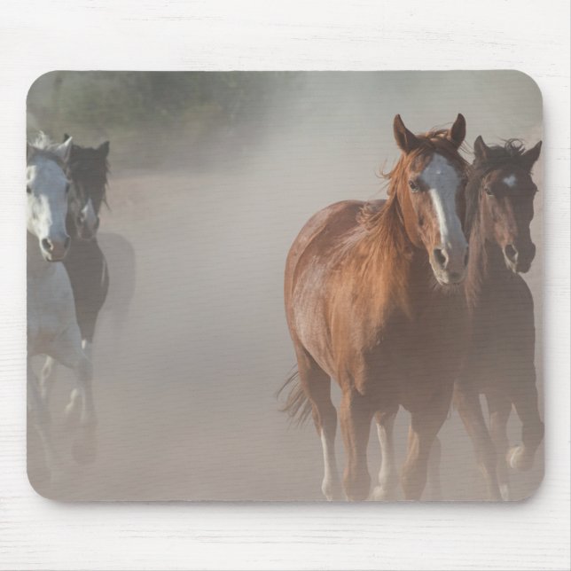 Tapis De Souris 0800-Mustangs sauvages en course (Devant)