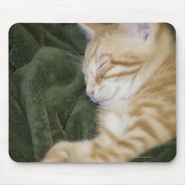 TAPIS DE SOURIS 0 2 (Devant)
