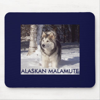TAPIS DE SOURIS 100_5815, MALAMUTE D'ALASKA