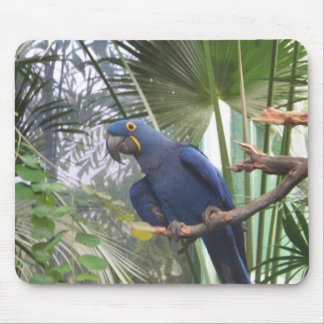 TAPIS DE SOURIS 101_0361