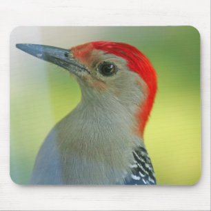 Tapis de souris 11 d'oiseau