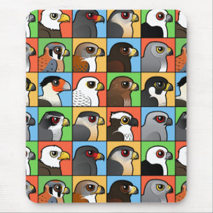 Tapis De Souris 16 profils de Nord-américain Raptor (carrelés)