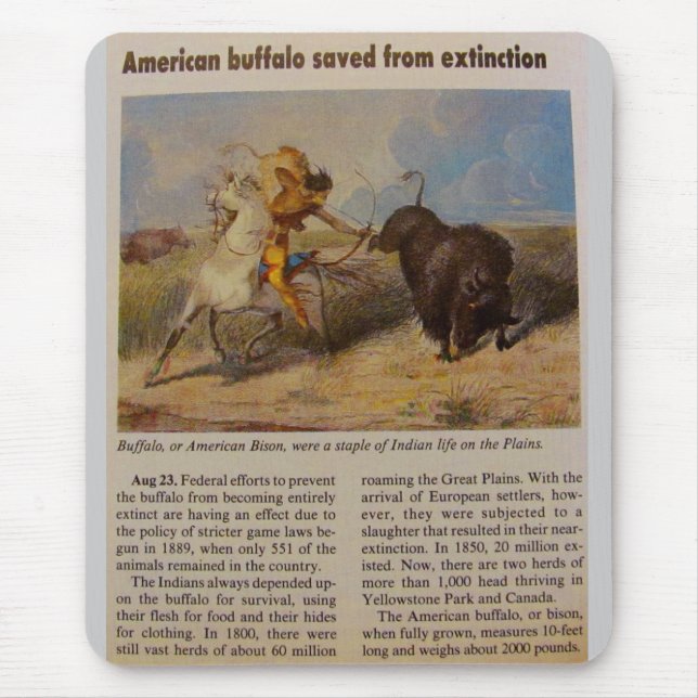 Tapis De Souris 1902  Bison d'Amérique sauvé de l'extinction (Devant)