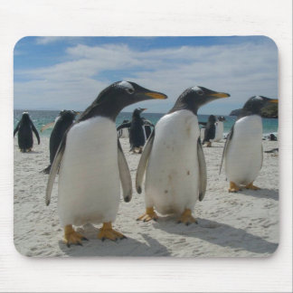 Tapis de souris 19 d'oiseau