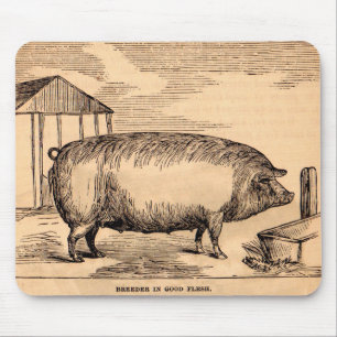 Tapis De Souris 19th century pig print ‘Breeder in Good Flesh’