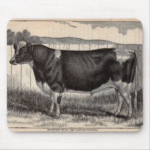 Tapis De Souris 19th century print Holstein bull