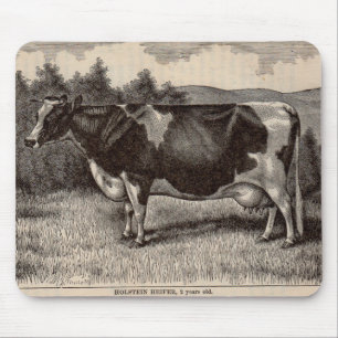 Tapis De Souris 19th century print Holstein heifer