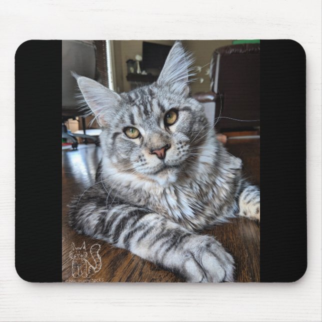 Tapis de souris #1 de M. Chiot-Chaussette (Devant)