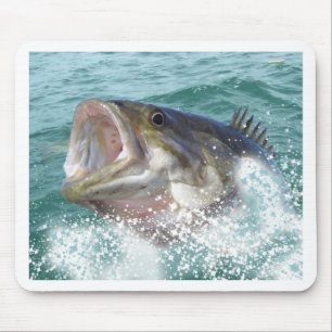 Tapis De Souris 1basss11cp