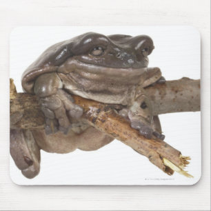 TAPIS DE SOURIS 23568138