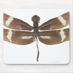 TAPIS DE SOURIS 23599152