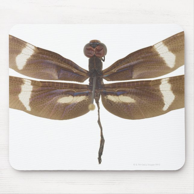 TAPIS DE SOURIS 23599152 (Devant)