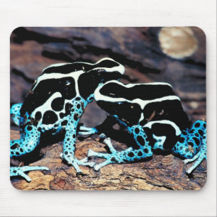 TAPIS DE SOURIS 23898179