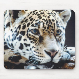 TAPIS DE SOURIS 24114363