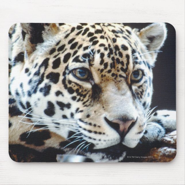 TAPIS DE SOURIS 24114363 (Devant)