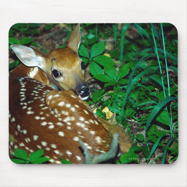 TAPIS DE SOURIS 24114390 (Devant)