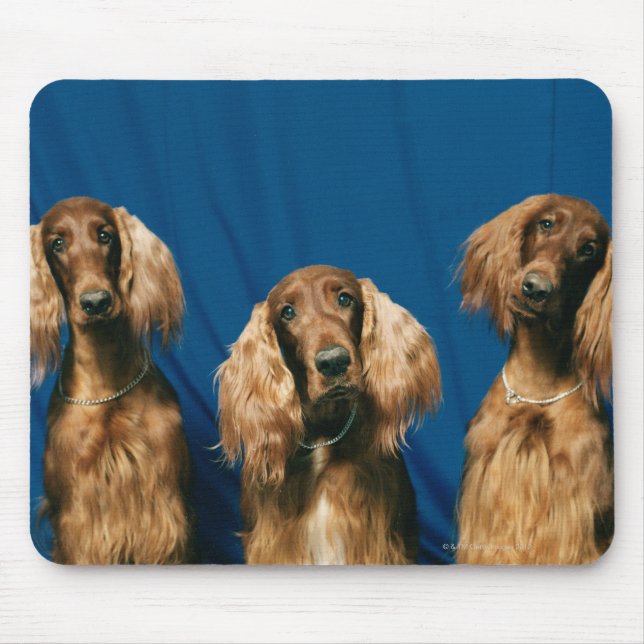 TAPIS DE SOURIS 24119671 (Devant)