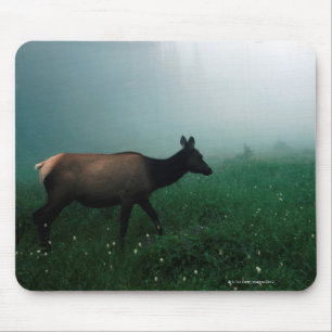 TAPIS DE SOURIS 24121885