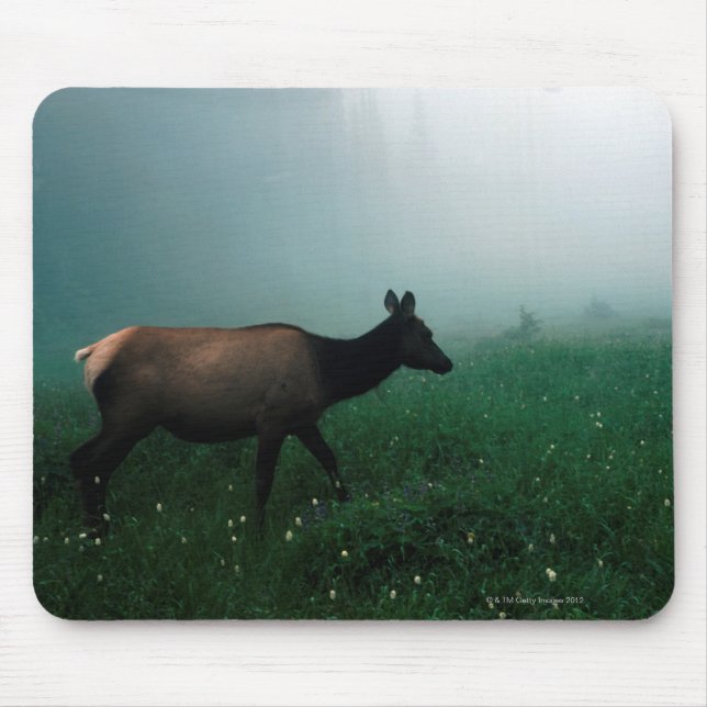 TAPIS DE SOURIS 24121885 (Devant)