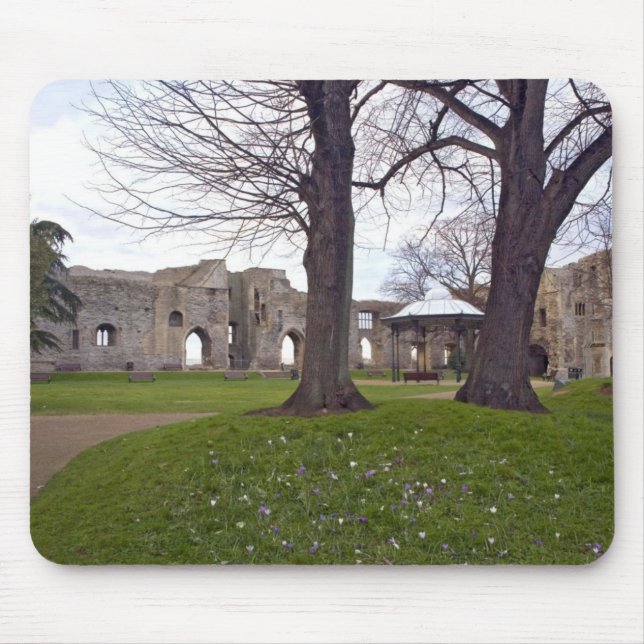 Tapis de souris 25 de château (Devant)